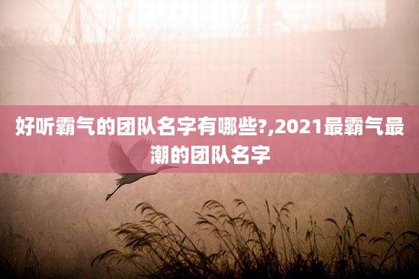 好听霸气的团队名字有哪些?,2021最霸气最潮的团队名字
