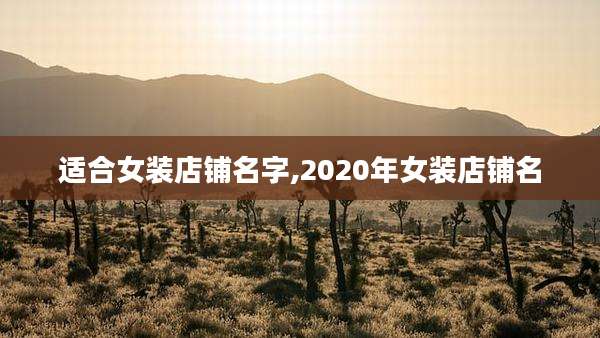 适合女装店铺名字,2020年女装店铺名