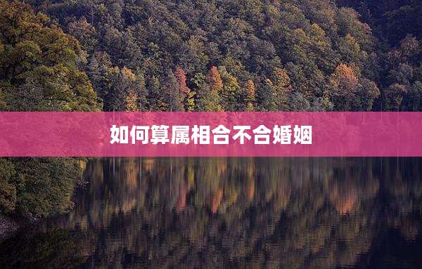 如何算属相合不合婚姻