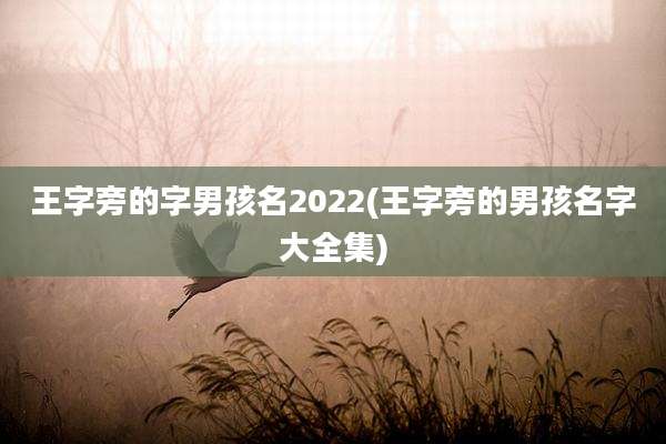 王字旁的字男孩名2022(王字旁的男孩名字大全集)