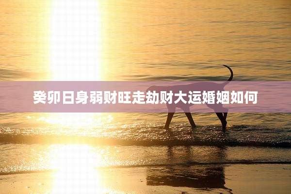 癸卯日身弱财旺走劫财大运婚姻如何