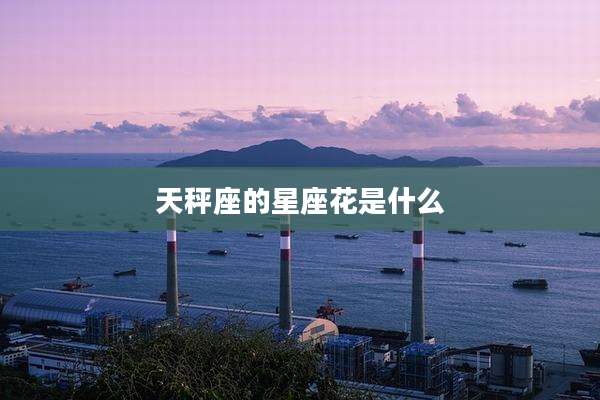 天秤座的星座花是什么