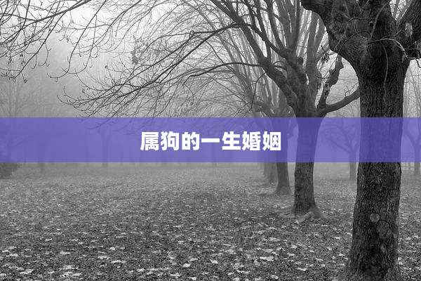 属狗的一生婚姻