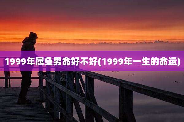 1999年属兔男命好不好(1999年一生的命运)