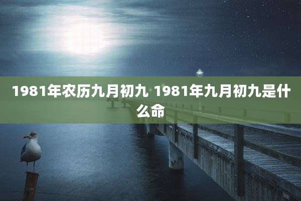 1981年农历九月初九 1981年九月初九是什么命