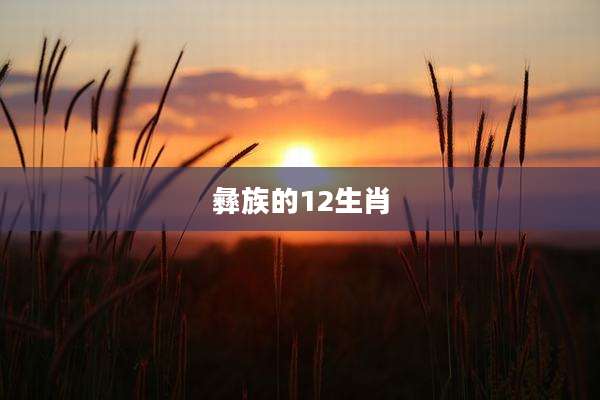 彝族的12生肖
