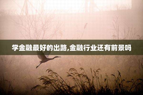 学金融最好的出路,金融行业还有前景吗