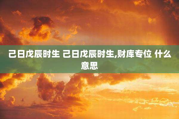 己日戊辰时生 己日戊辰时生,财库专位 什么意思