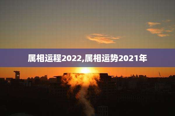 属相运程2022,属相运势2021年
