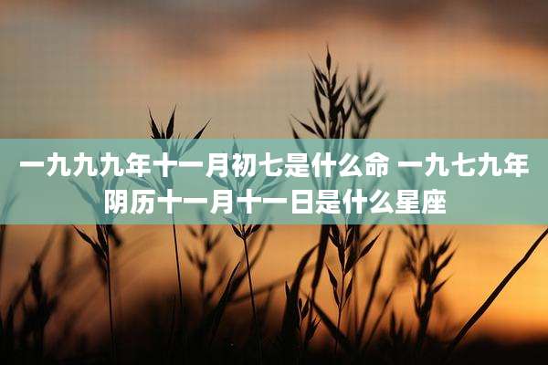一九九九年十一月初七是什么命 一九七九年阴历十一月十一日是什么星座