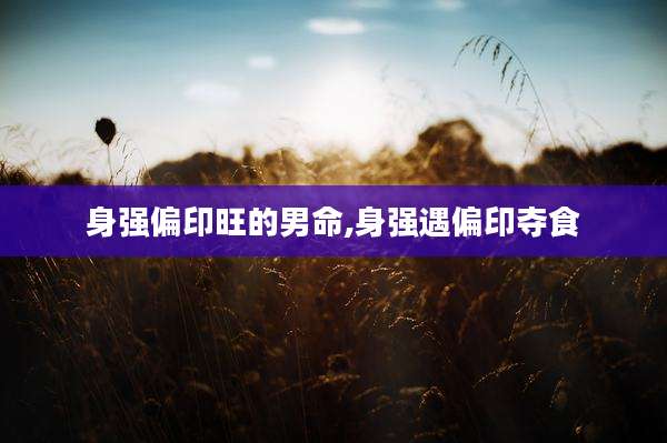 身强偏印旺的男命,身强遇偏印夺食