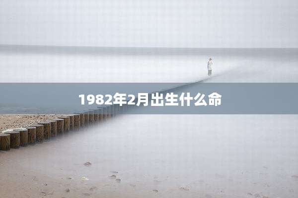 1982年2月出生什么命