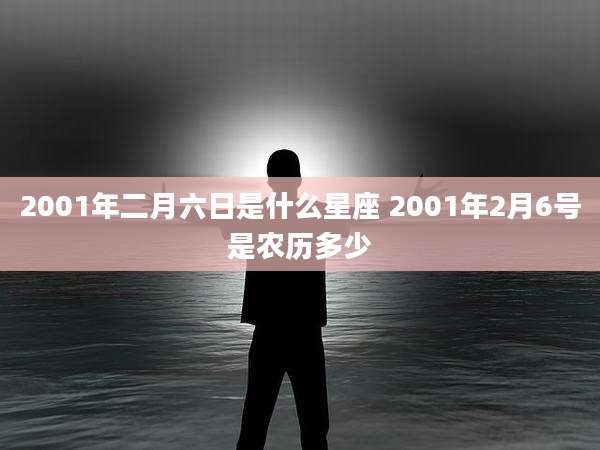 2001年二月六日是什么星座 2001年2月6号是农历多少