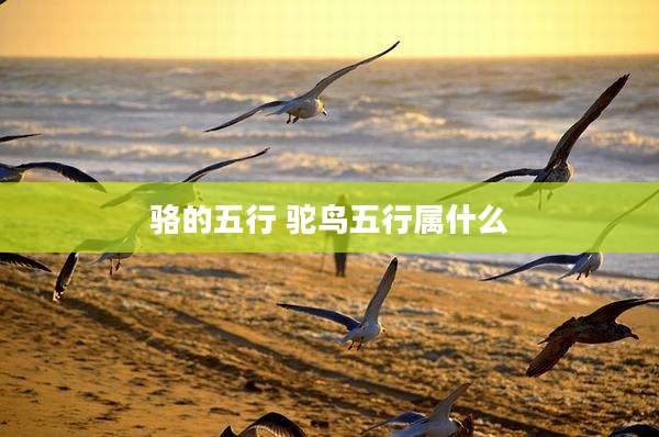 骆的五行 驼鸟五行属什么