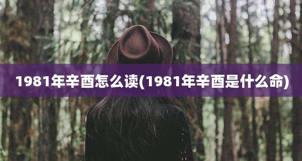 1981年辛酉怎么读(1981年辛酉是什么命)