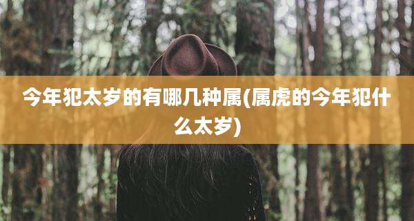 今年犯太岁的有哪几种属(属虎的今年犯什么太岁)