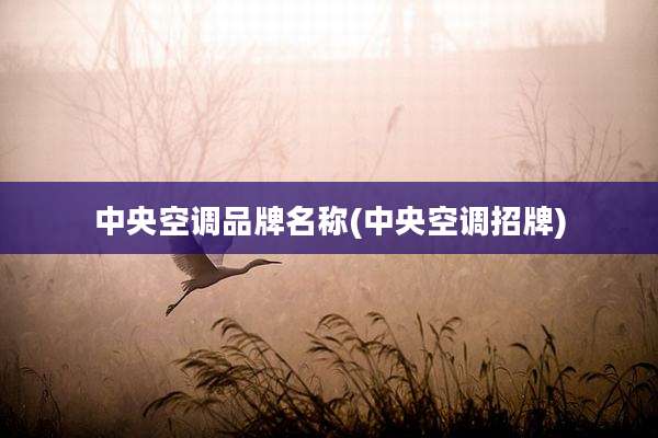 中央空调品牌名称(中央空调招牌)