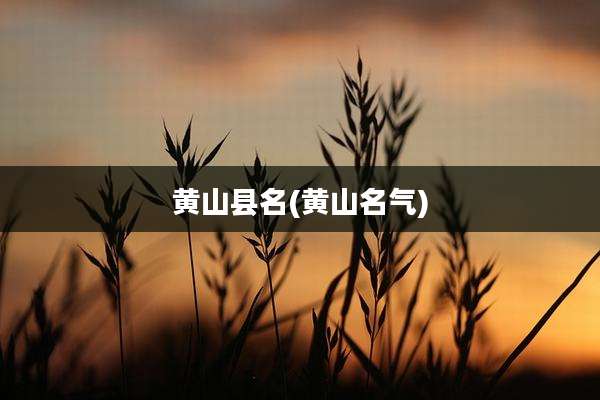 黄山县名(黄山名气)