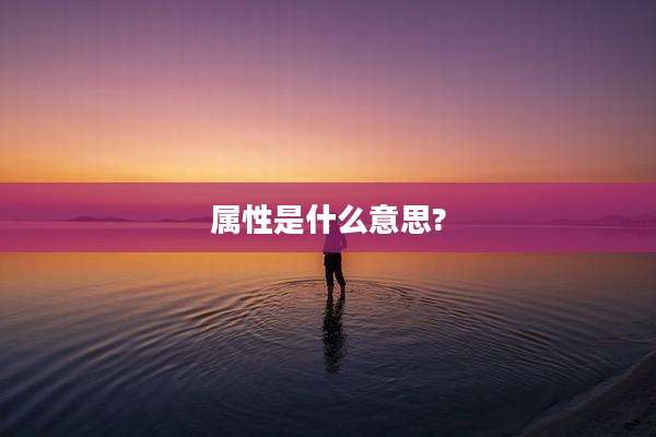 属性是什么意思?