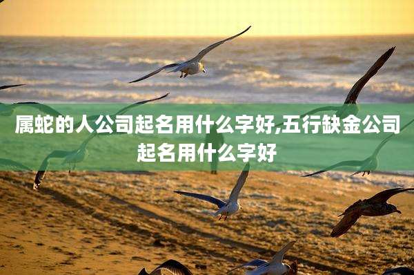 属蛇的人公司起名用什么字好,五行缺金公司起名用什么字好
