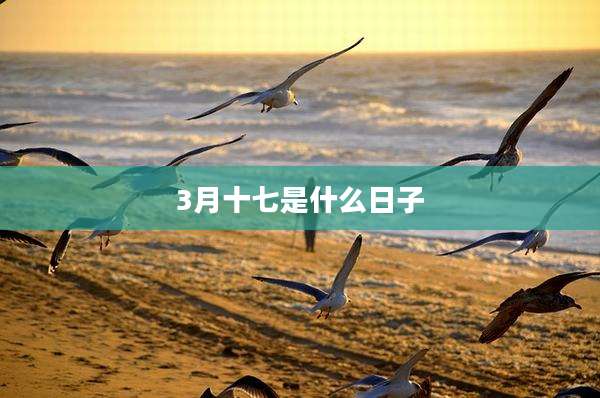 3月十七是什么日子
