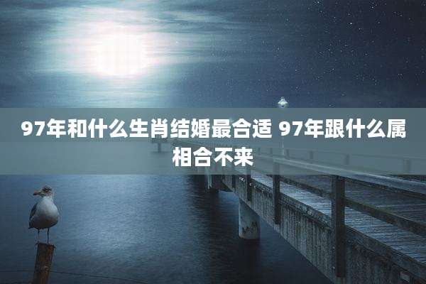 97年和什么生肖结婚最合适 97年跟什么属相合不来