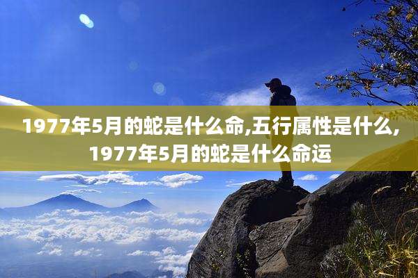 1977年5月的蛇是什么命,五行属性是什么,1977年5月的蛇是什么命运
