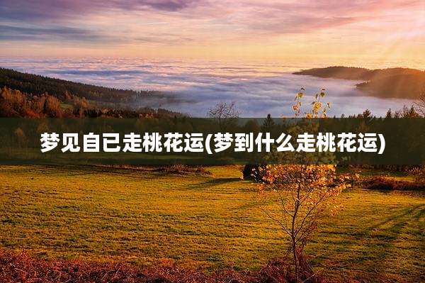 梦见自已走桃花运(梦到什么走桃花运)