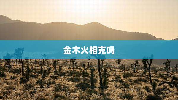 金木火相克吗