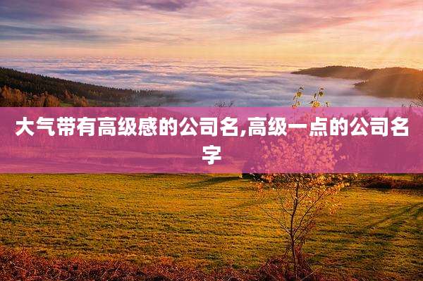 大气带有高级感的公司名,高级一点的公司名字