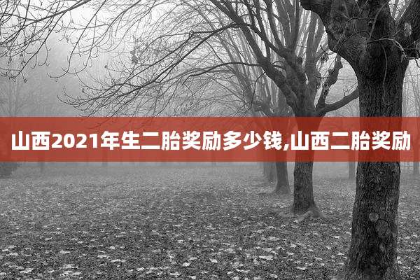 山西2021年生二胎奖励多少钱,山西二胎奖励