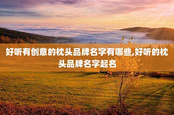 好听有创意的枕头品牌名字有哪些,好听的枕头品牌名字起名