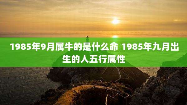 1985年9月属牛的是什么命 1985年九月出生的人五行属性
