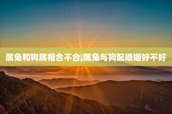 属兔和狗属相合不合,属兔与狗配婚姻好不好
