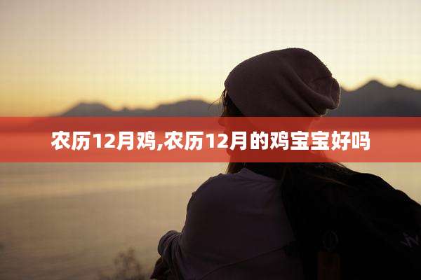 农历12月鸡,农历12月的鸡宝宝好吗