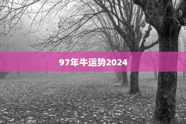 97年牛运势2024