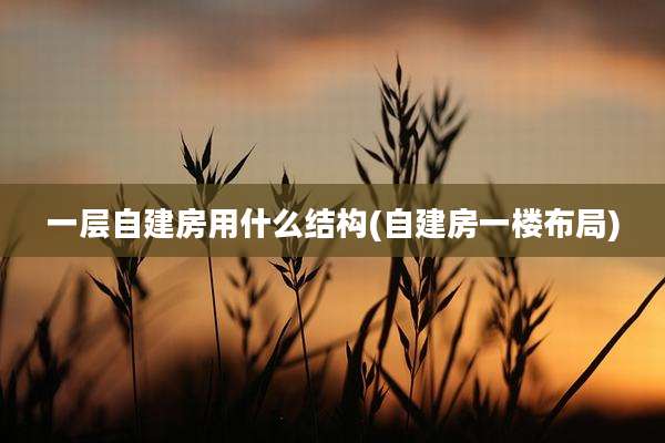 一层自建房用什么结构(自建房一楼布局)