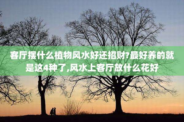 客厅摆什么植物风水好还招财?最好养的就是这4种了,风水上客厅放什么花好