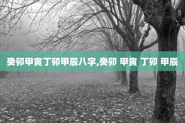 癸卯甲寅丁卯甲辰八字,癸卯 甲寅 丁卯 甲辰