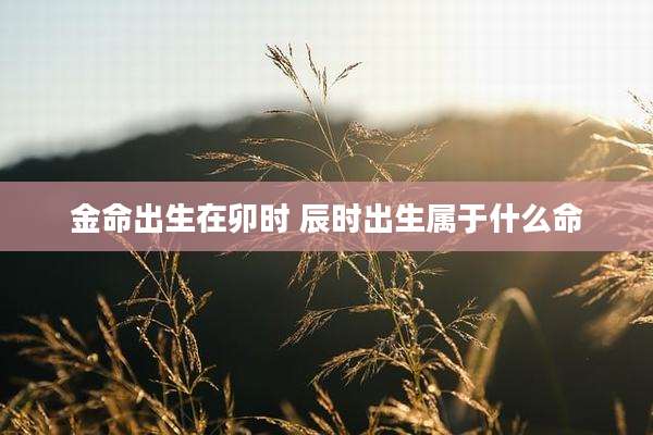 金命出生在卯时 辰时出生属于什么命