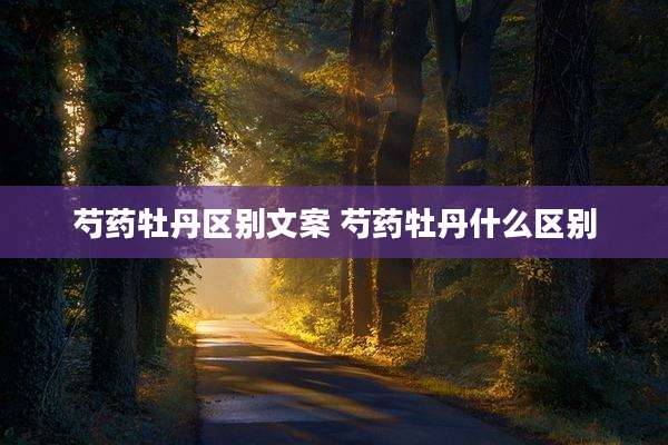 芍药牡丹区别文案 芍药牡丹什么区别
