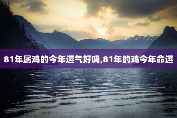 81年属鸡的今年运气好吗,81年的鸡今年命运