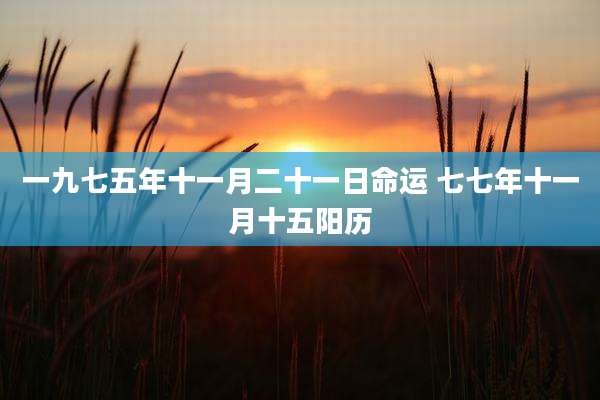 一九七五年十一月二十一日命运 七七年十一月十五阳历