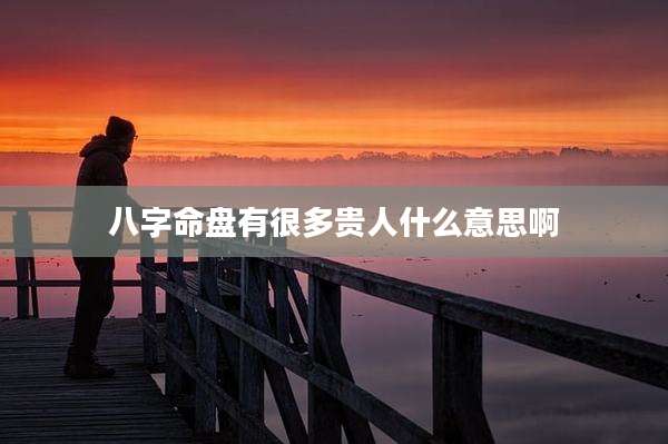 八字命盘有很多贵人什么意思啊