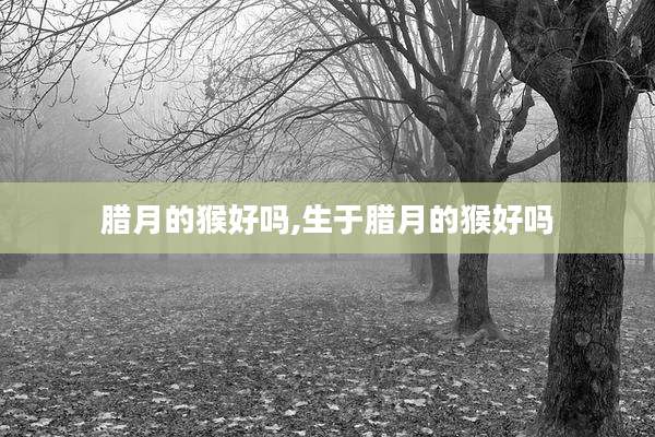 腊月的猴好吗,生于腊月的猴好吗