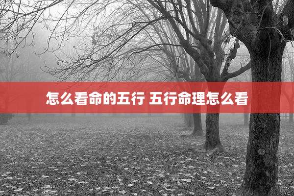 怎么看命的五行 五行命理怎么看