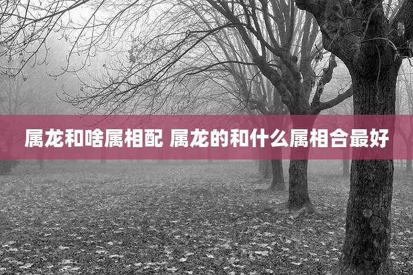 属龙和啥属相配 属龙的和什么属相合最好