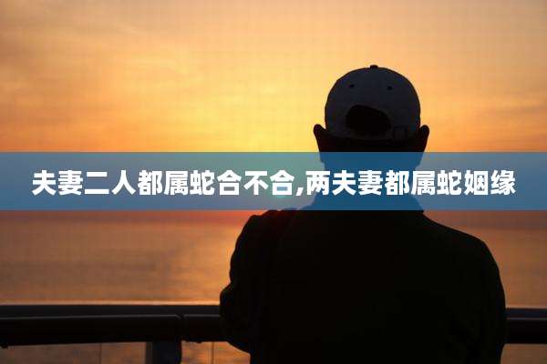 夫妻二人都属蛇合不合,两夫妻都属蛇姻缘