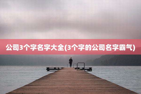 公司3个字名字大全(3个字的公司名字霸气)