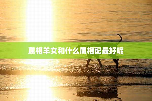 属相羊女和什么属相配最好呢